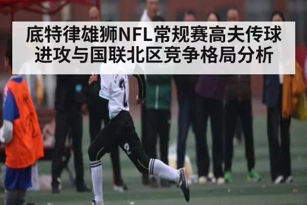 底特律雄狮NFL常规赛高夫传球进攻与国联北区竞争格局分析
