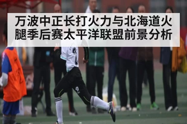万波中正长打火力与北海道火腿季后赛太平洋联盟前景分析